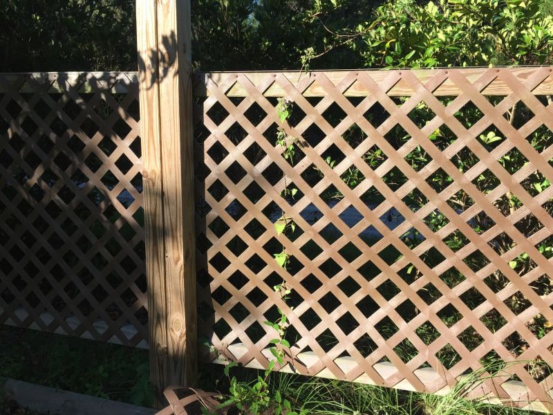 Wood Lattice Fence Replacement